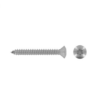 ISO 14587 Raised countersunk tapping screws six lobe drive