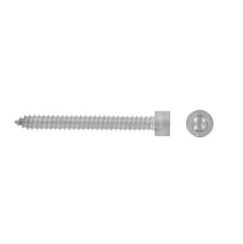 Tapping screws with head