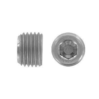 DIN 906 Hexagon socket pipe plugs