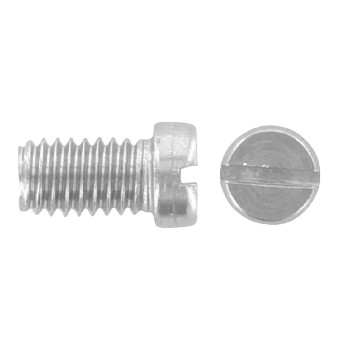 DIN 920 Slotted pan head screws with small head