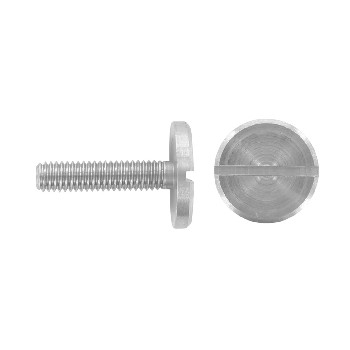 DIN 921 Slotted pan head screws with large head
