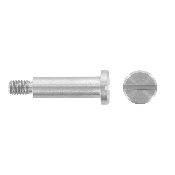 DIN 923 Slotted pan head screws with shoulder