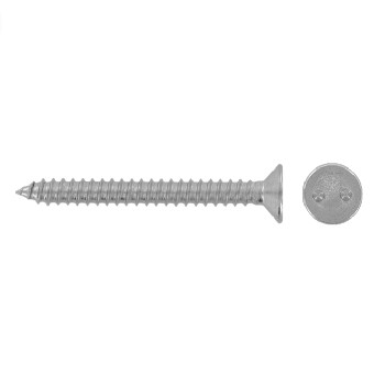 Countersunk head security screws two hole drive