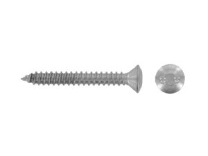 Raised CSK head security screws two hole drive