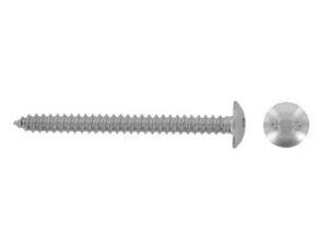 Pan head security screws with two hole drive