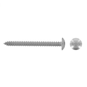 Pan head security screws with two hole drive
