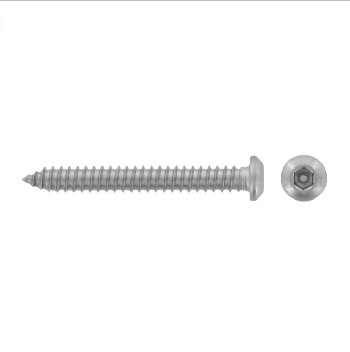 Button head security screws hex socket drive + pin