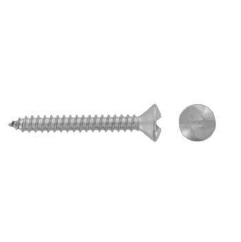 Raised CSK head security screws with oneway drive