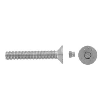 Hexagon socket CSK head security screws with plug