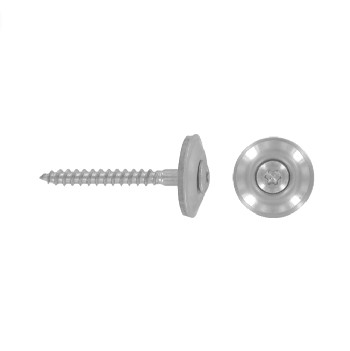 Spengler screws - TX20 - 20mm